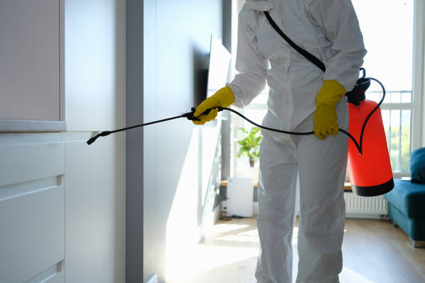 Best Localized Mold Remediation (e.g., coastal areas, humid climates) in Wacousta, MI